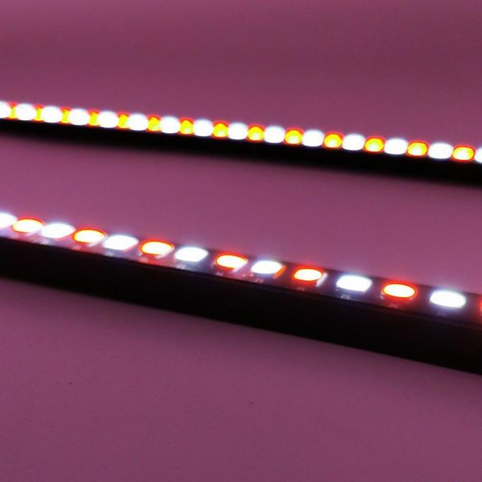 15W LED Linde رافعة شوكية ضوء White and Red Color China